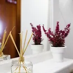 Appartamento Piso Céntrico Plaza San Miguel *