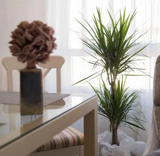 Piso Centrico Plaza San Miguel