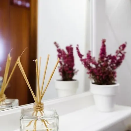 Apartamento Piso Céntrico Plaza San Miguel *