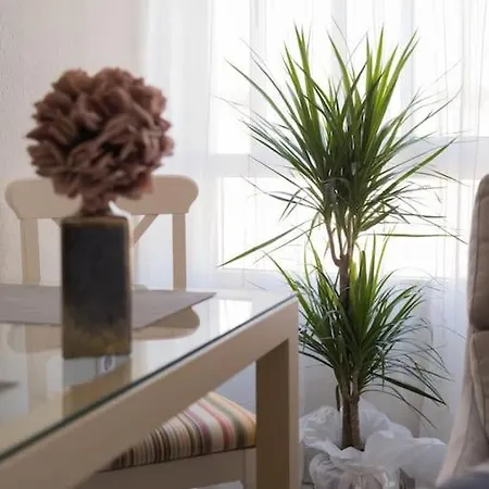 Piso Céntrico Plaza San Miguel